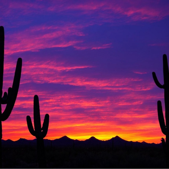 arizonathreads